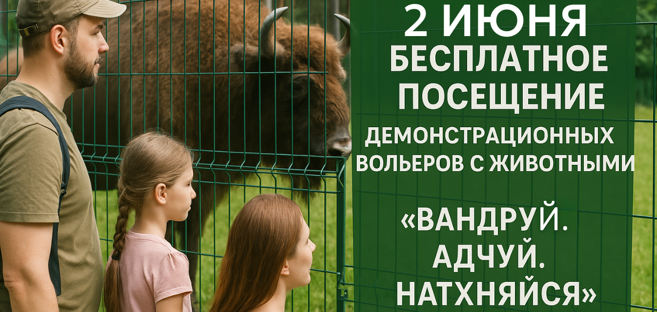 IV Республиканская акция «Вандруй.Адчуй.Натхняйся» в Беловежской пуще: Фотография