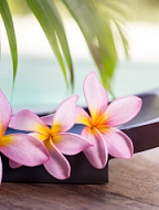 Тариф Relax & SPA